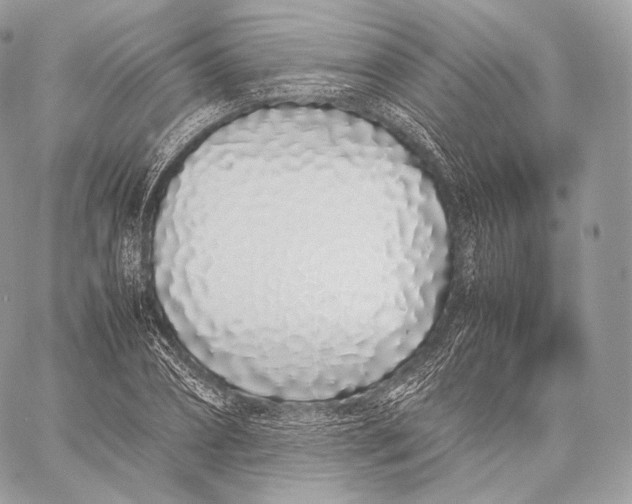 X0000059830882200511111716