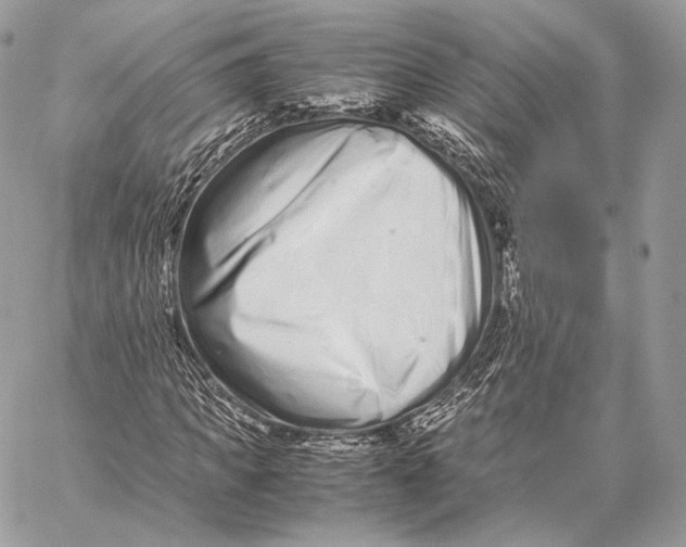 X0000059830917200511111715