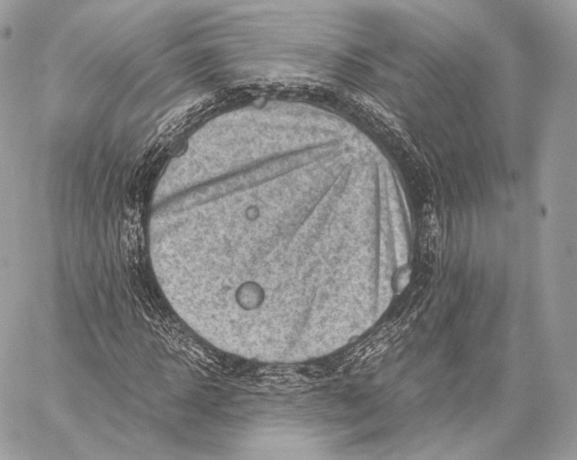 X0000059830918200511111715
