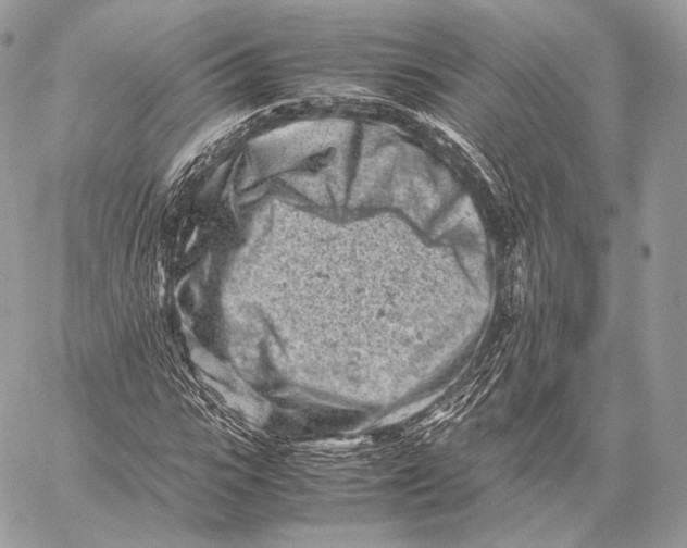 X0000059830919200511111715