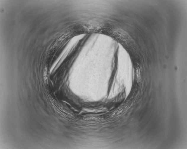 X0000059830963200511111714