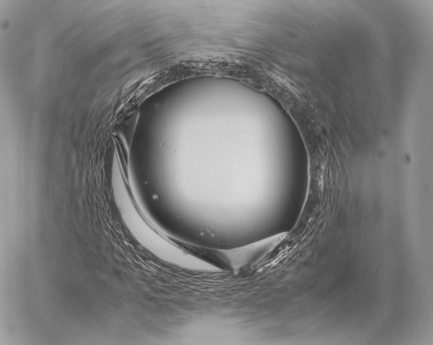 X0000059830965200511111714