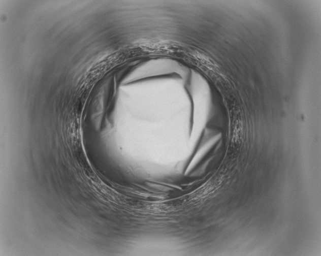 X0000059830966200511111714
