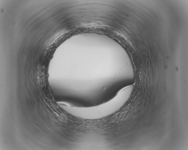 X0000059830968200511111714