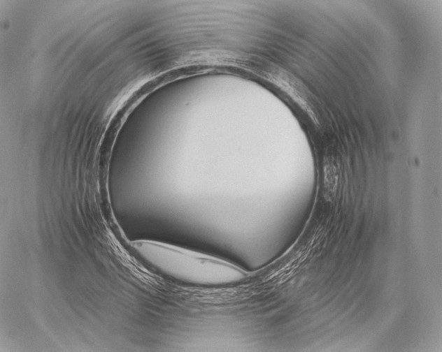 X0000059830972200511111714