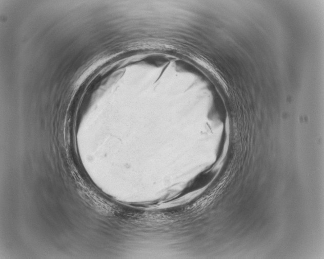 X0000059830983200511111714