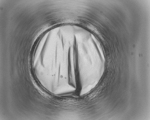 X0000059830991200511111714