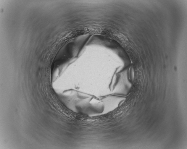X0000059831009200511111713