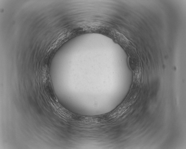 X0000059831012200511111713