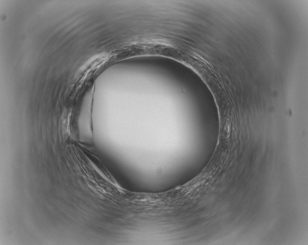 X0000059831014200511111713