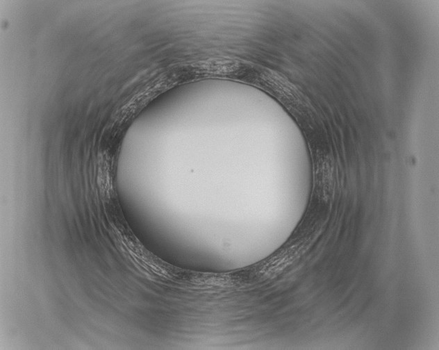 X0000059831058200511111713