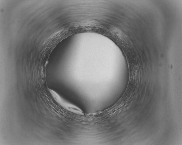 X0000059831062200511111713