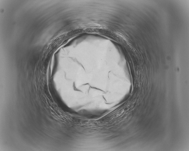 X0000059831063200511111713