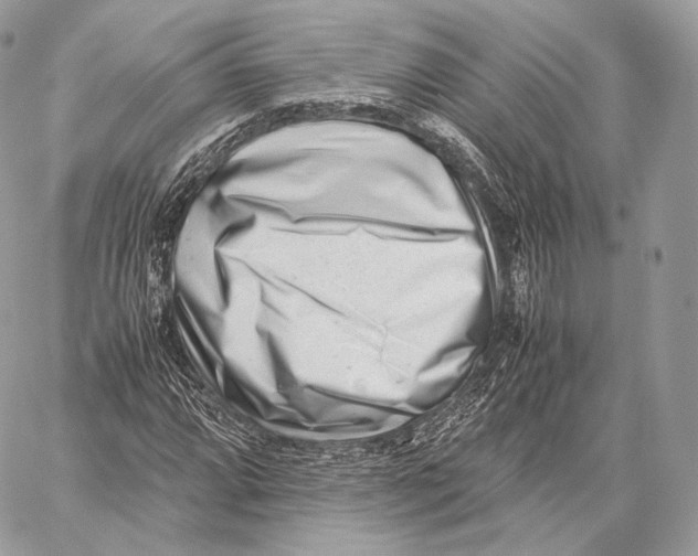 X0000059831064200511111713