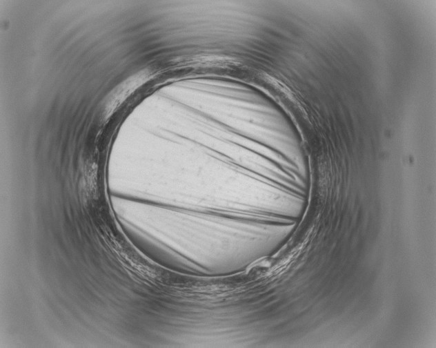 X0000059831066200511111713