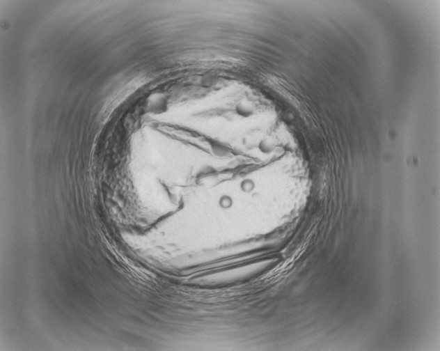 X0000059831071200511111713