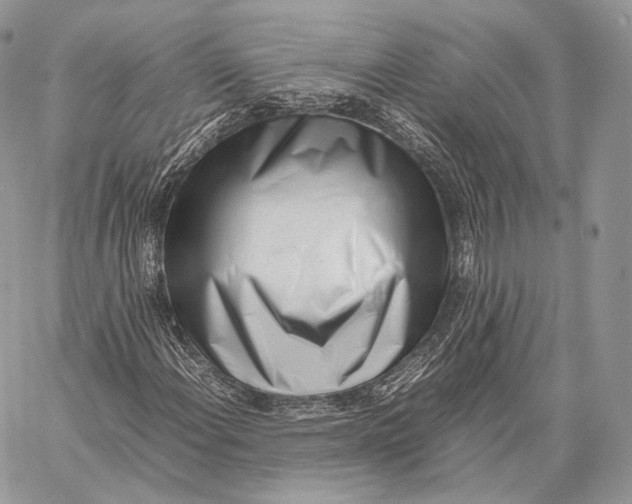 X0000059831108200511111711