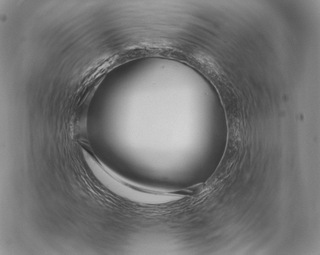 X0000059831110200511111711