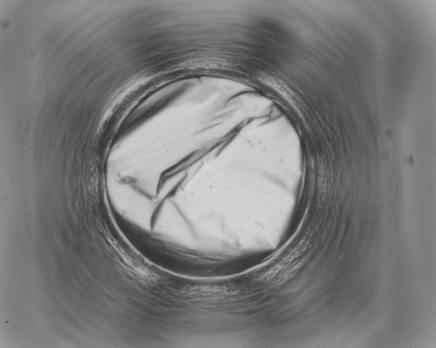 X0000059831115200511111711