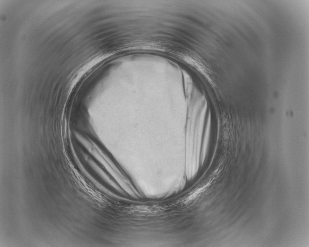 X0000059831125200511111712
