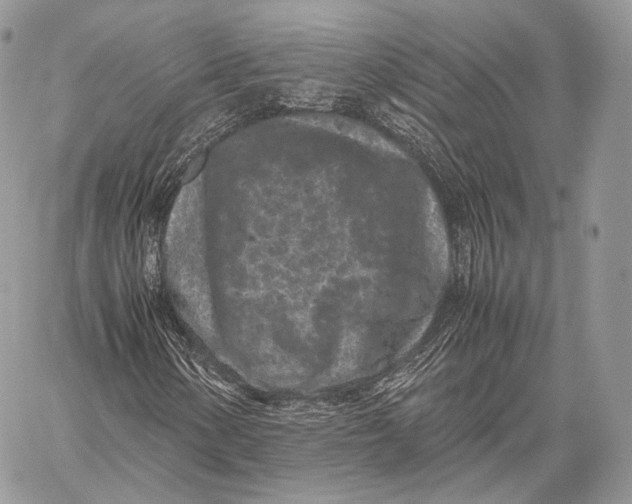 X0000059831154200511111711