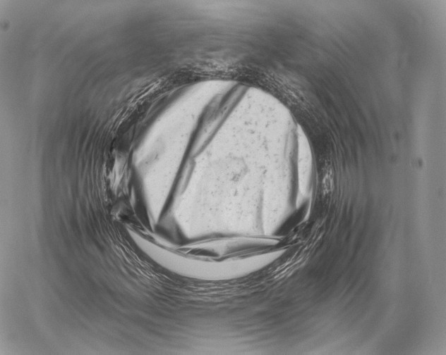 X0000059831156200511111711
