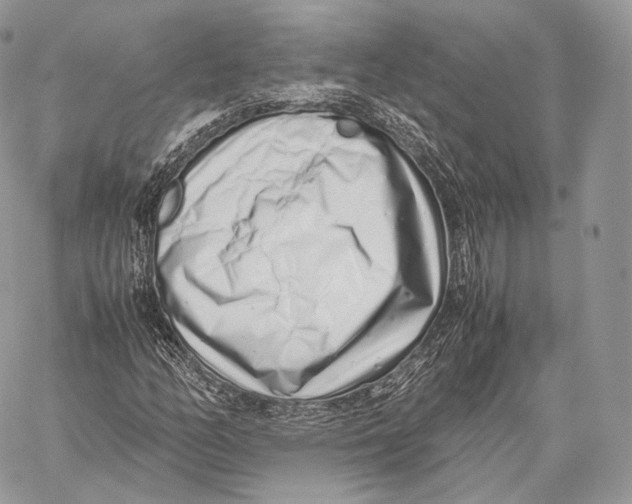 X0000059831158200511111711