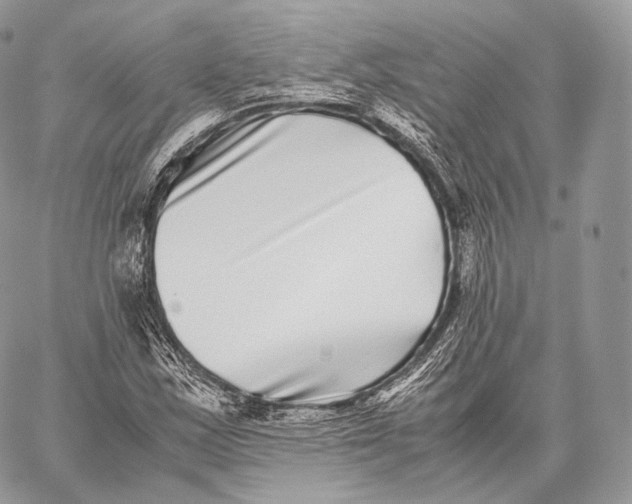 X0000059831163200511111711