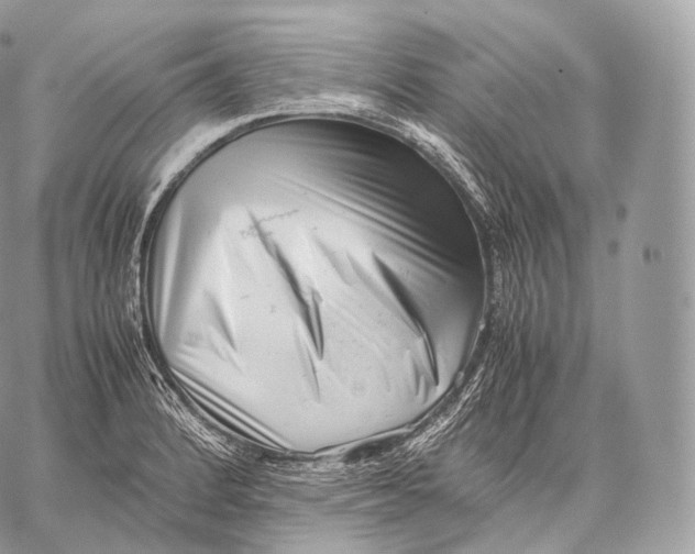 X0000059831184200511111711