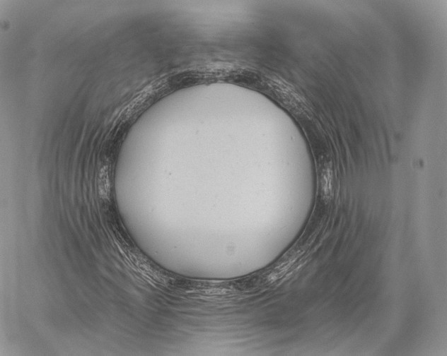 X0000059831204200511111710