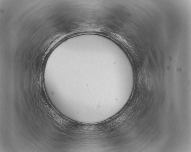 X0000059831220200511111710