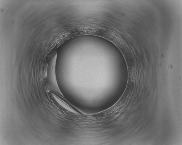 X0000059831298200511111708