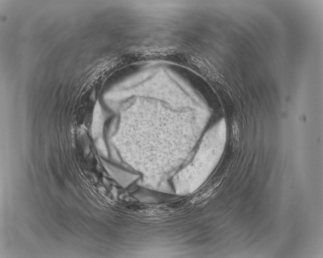 X0000059831300200511111708