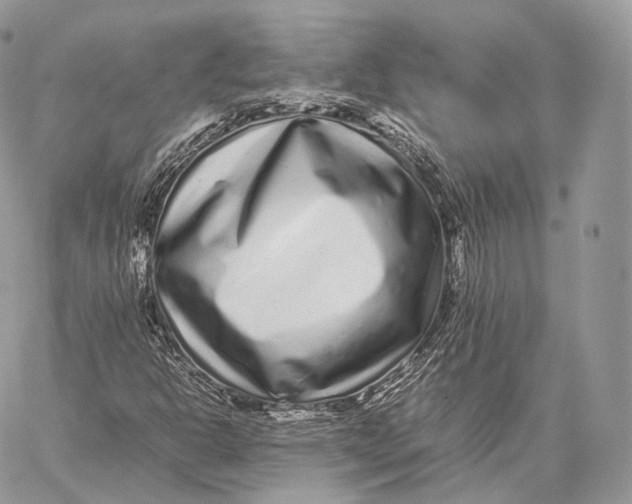 X0000059831302200511111708