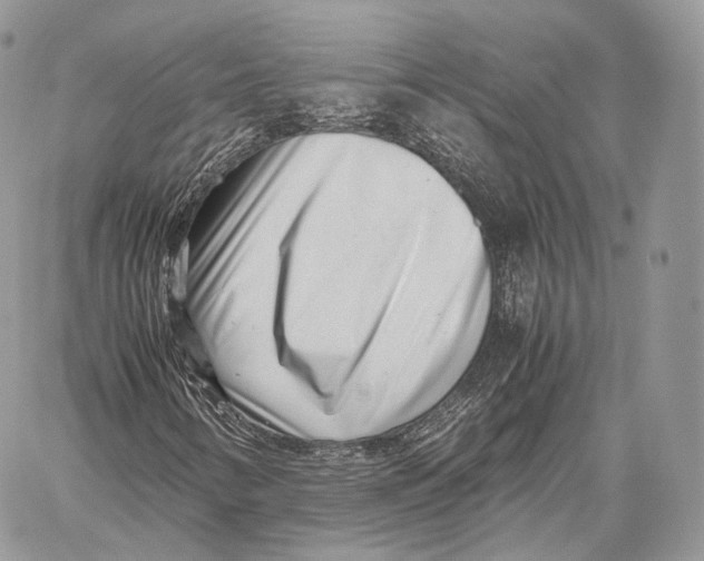 X0000059831346200511111708