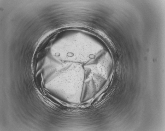 X0000059831372200511111708