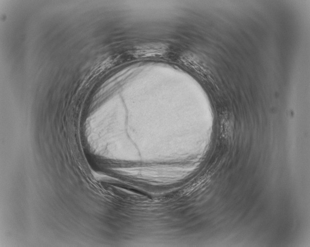 X0000059831393200511111706