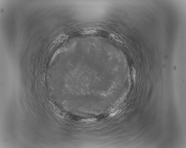 X0000059831441200511111706
