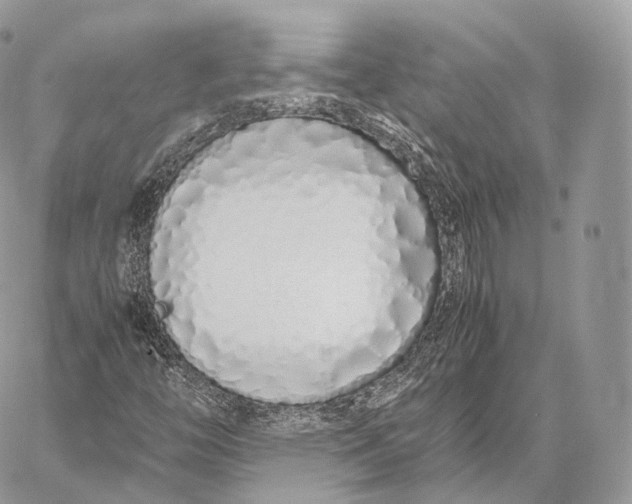 X0000059831446200511111706