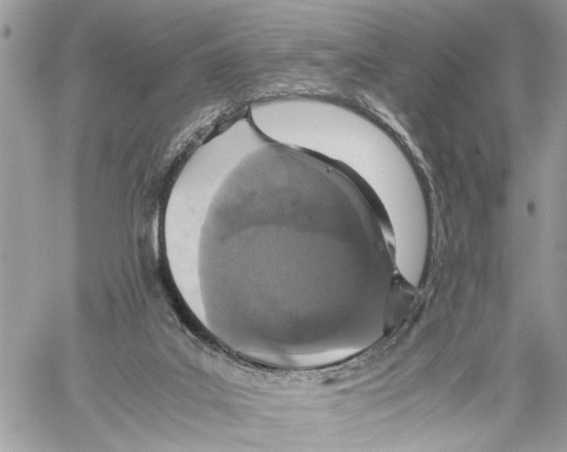 X0000059830019200511181459