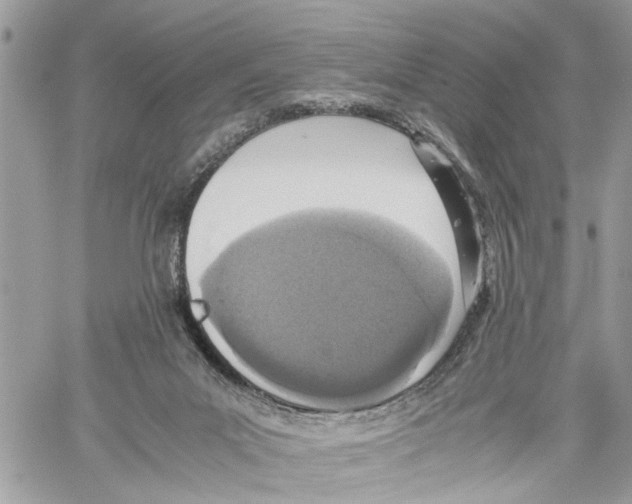 X0000059830023200511181459