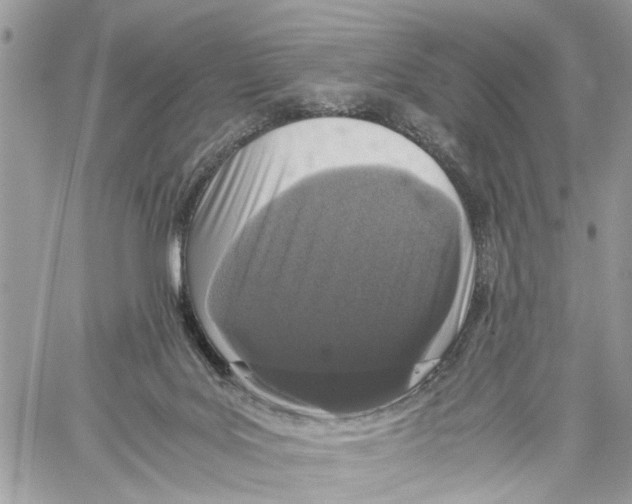 X0000059830027200511181459