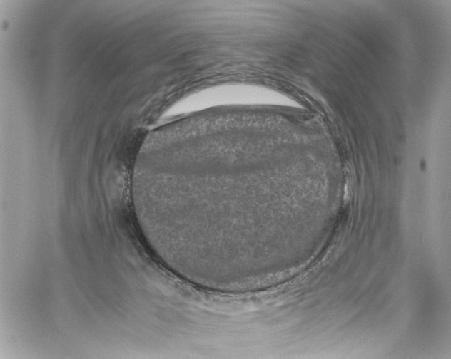 X0000059830029200511181459