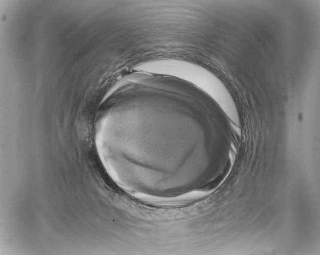 X0000059830031200511181459