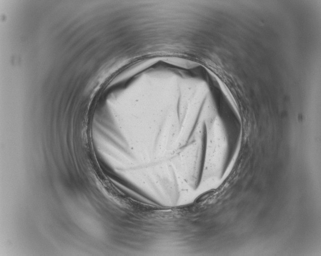 X0000059830050200511181458