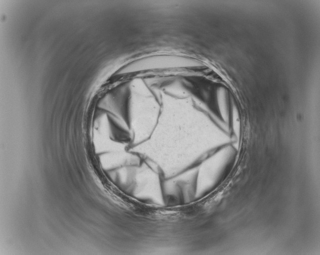 X0000059830055200511181458
