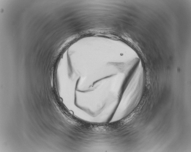 X0000059830062200511181458