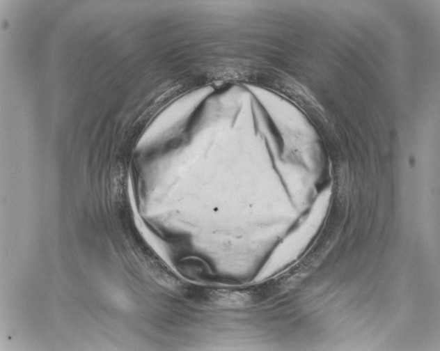 X0000059830073200511181458