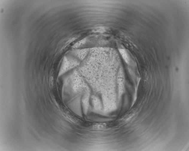 X0000059830080200511181458