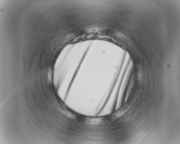 X0000059830081200511181458